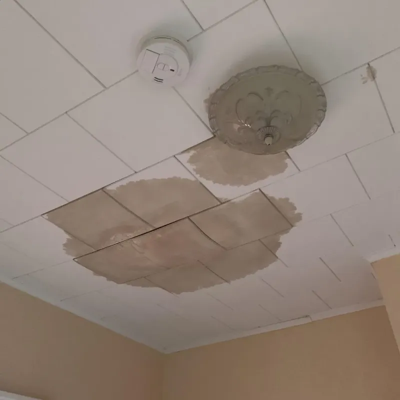 Ceiling Water Damage Repair in Fitchburg, WI