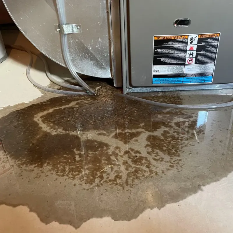 Pipe Burst and Leak Restoration in Fitchburg, WI
