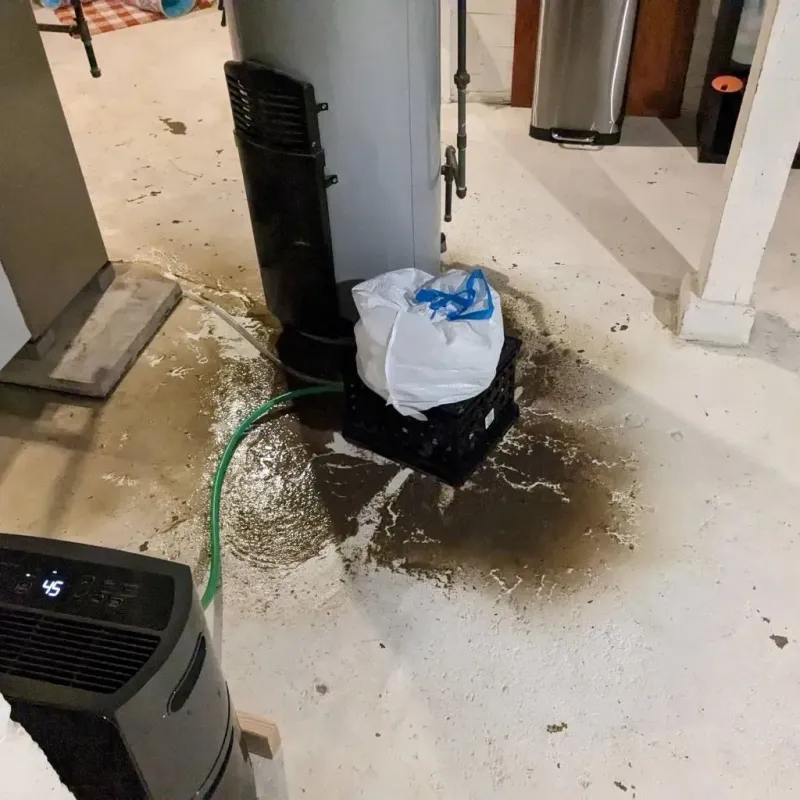 Sewage Backup Cleanup Service in Fitchburg, WI
